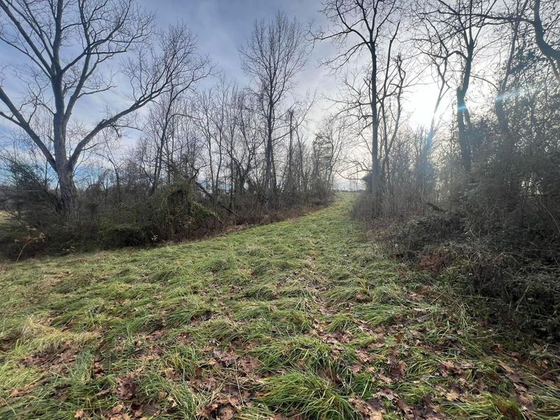 53720 State Route 681, Reedsville, OH 45772 Photo 32