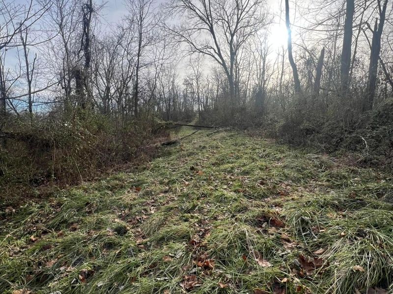 53720 State Route 681, Reedsville, OH 45772 Photo 33