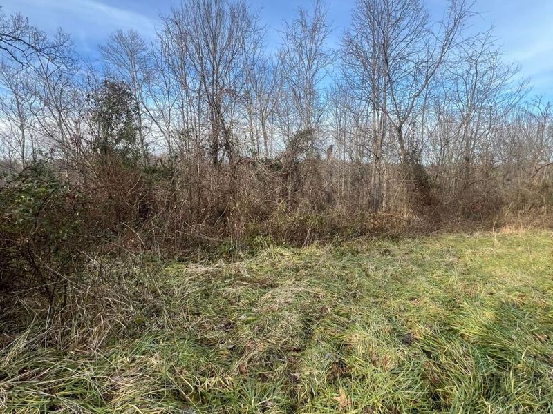 53720 State Route 681, Reedsville, OH 45772 Photo 34