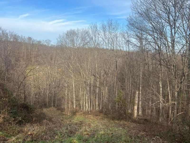 53720 State Route 681, Reedsville, OH 45772 Photo 35