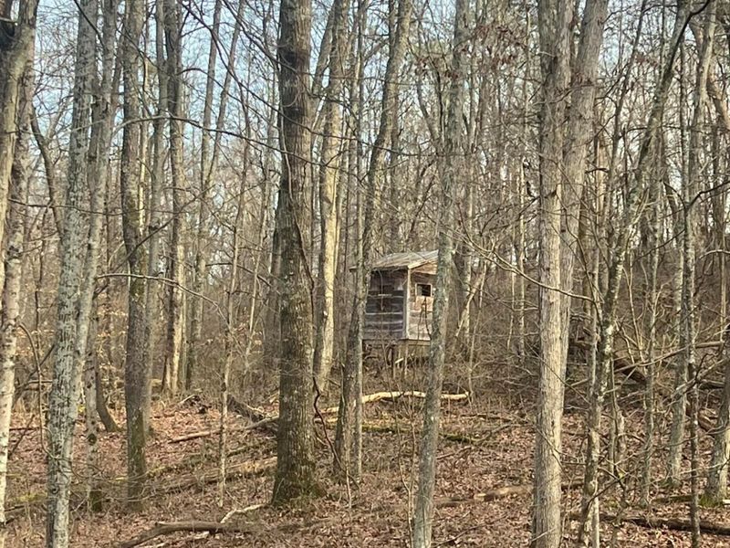 53720 State Route 681, Reedsville, OH 45772 Photo 36