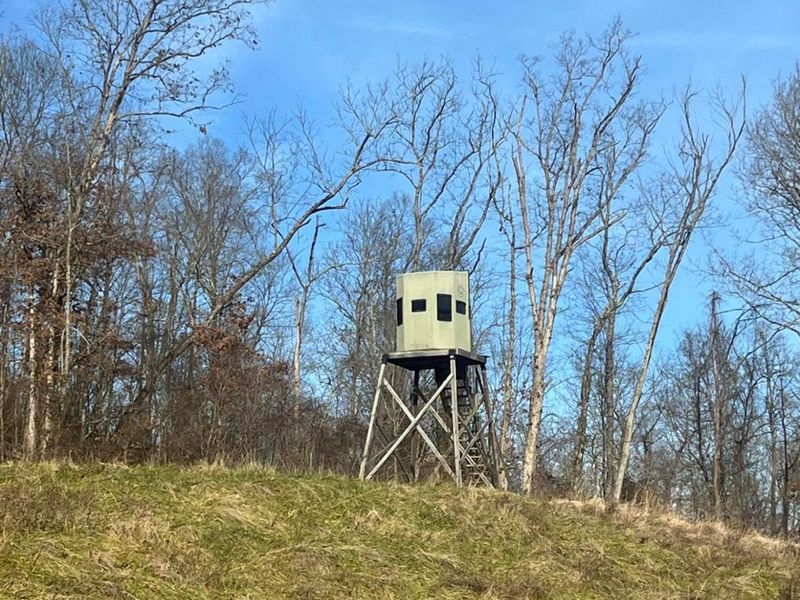 53720 State Route 681, Reedsville, OH 45772 Photo 37