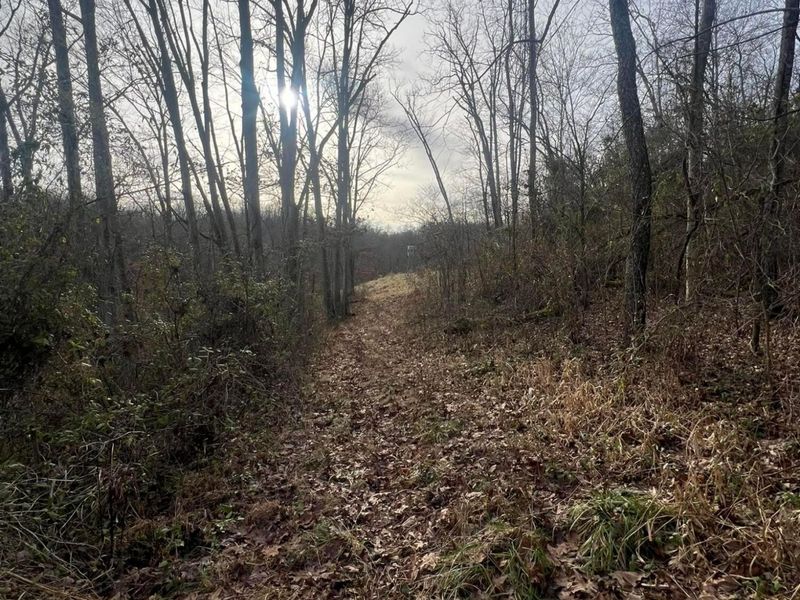 53720 State Route 681, Reedsville, OH 45772 Photo 39