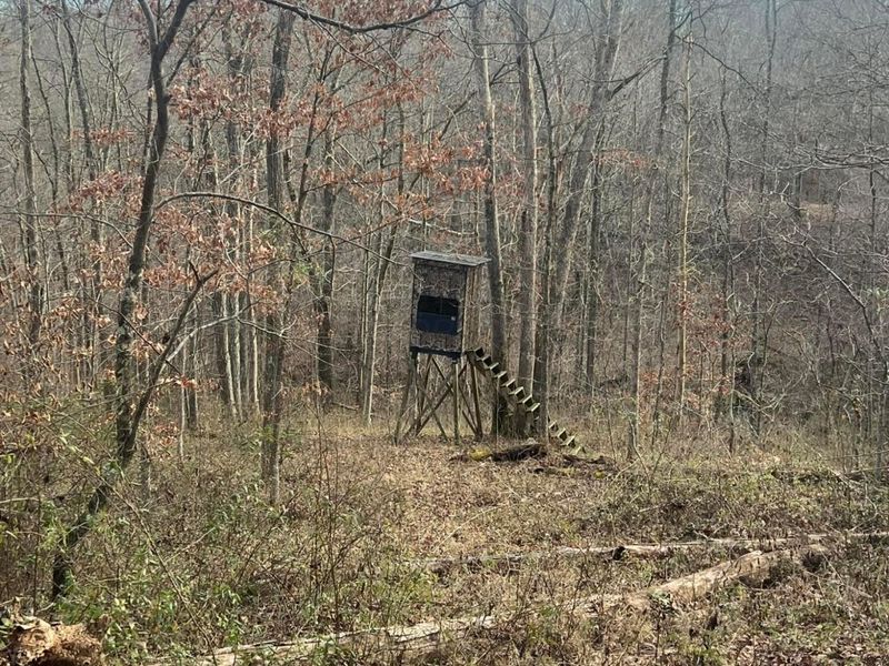 53720 State Route 681, Reedsville, OH 45772 Photo 40