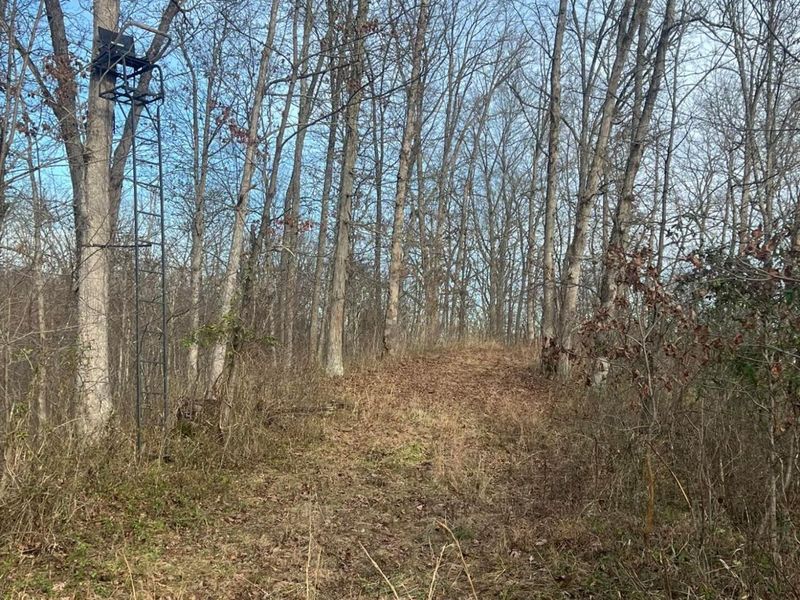 53720 State Route 681, Reedsville, OH 45772 Photo 41