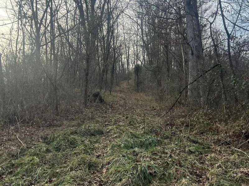 53720 State Route 681, Reedsville, OH 45772 Photo 42