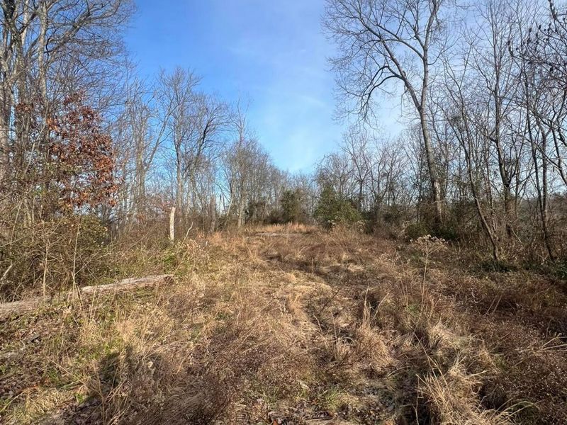 53720 State Route 681, Reedsville, OH 45772 Photo 43