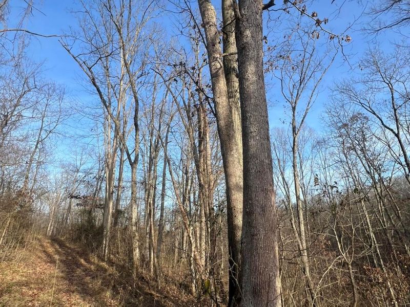 53720 State Route 681, Reedsville, OH 45772 Photo 45