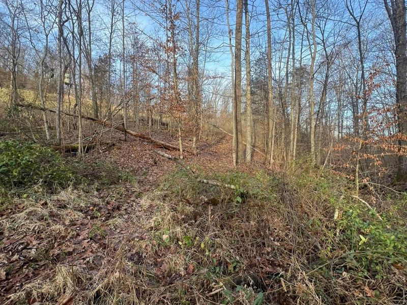 53720 State Route 681, Reedsville, OH 45772 Photo 46