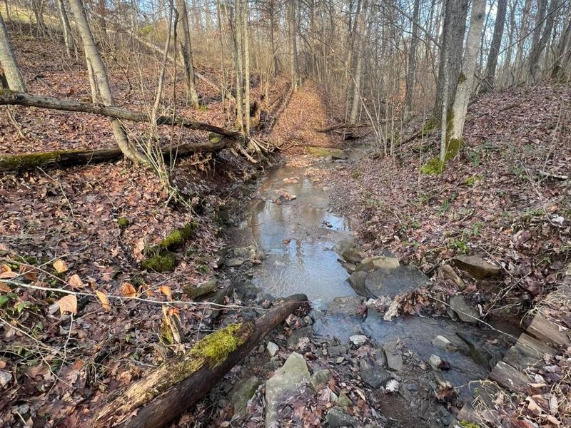 53720 State Route 681, Reedsville, OH 45772 Photo 47