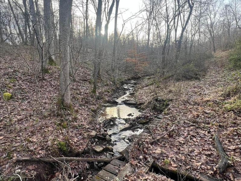 53720 State Route 681, Reedsville, OH 45772 Photo 48