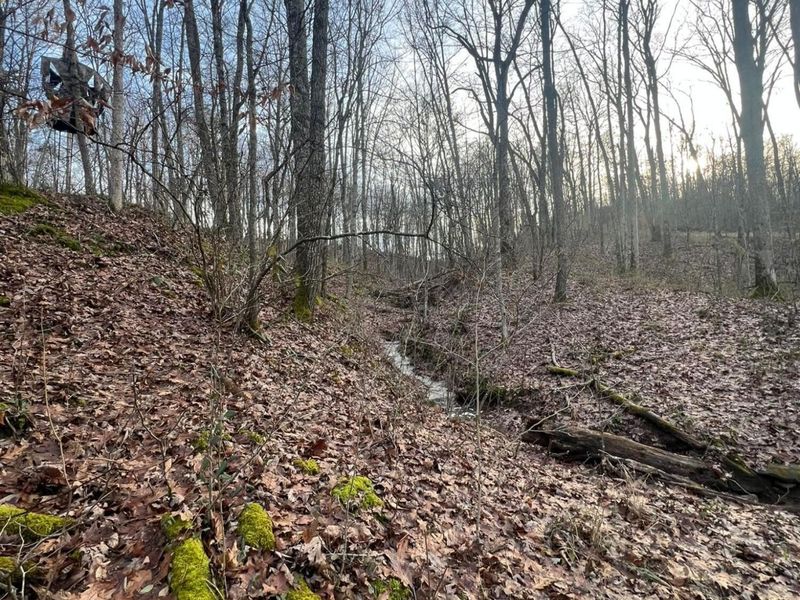 53720 State Route 681, Reedsville, OH 45772 Photo 49