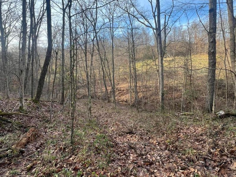 53720 State Route 681, Reedsville, OH 45772 Photo 50