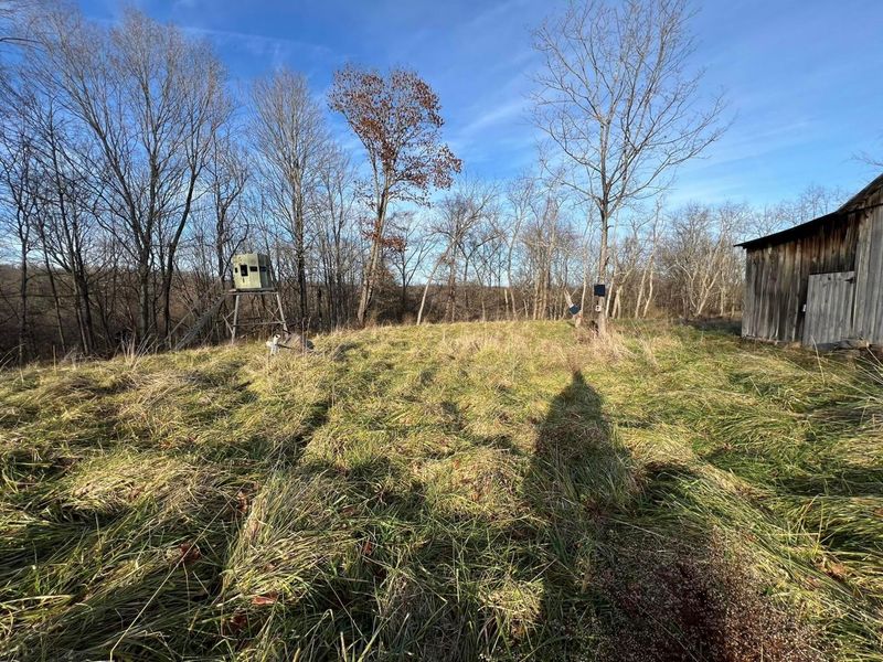 53720 State Route 681, Reedsville, OH 45772 Photo 51