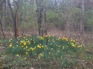 Margaret Drive, Lincoln, MO 65338