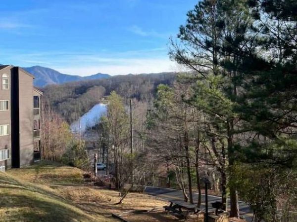 1380 Ski View Drive, Gatlinburg, TN 37738
