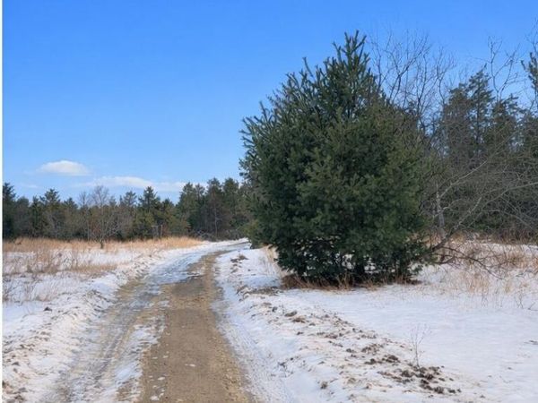 Parcel 3 Sturgis Road, Atlanta, MI 49709