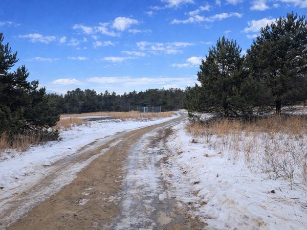 Parcel 5 Sturgis Rd 002-018-000-280-05, Atlanta, MI 49709