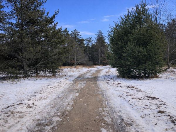 Parcel 4 Sturgis Rd 002-018-000-280-04, Atlanta, MI 49709