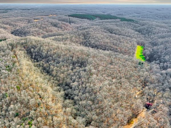 0 Old Swan Rd, Centerville, TN 37033