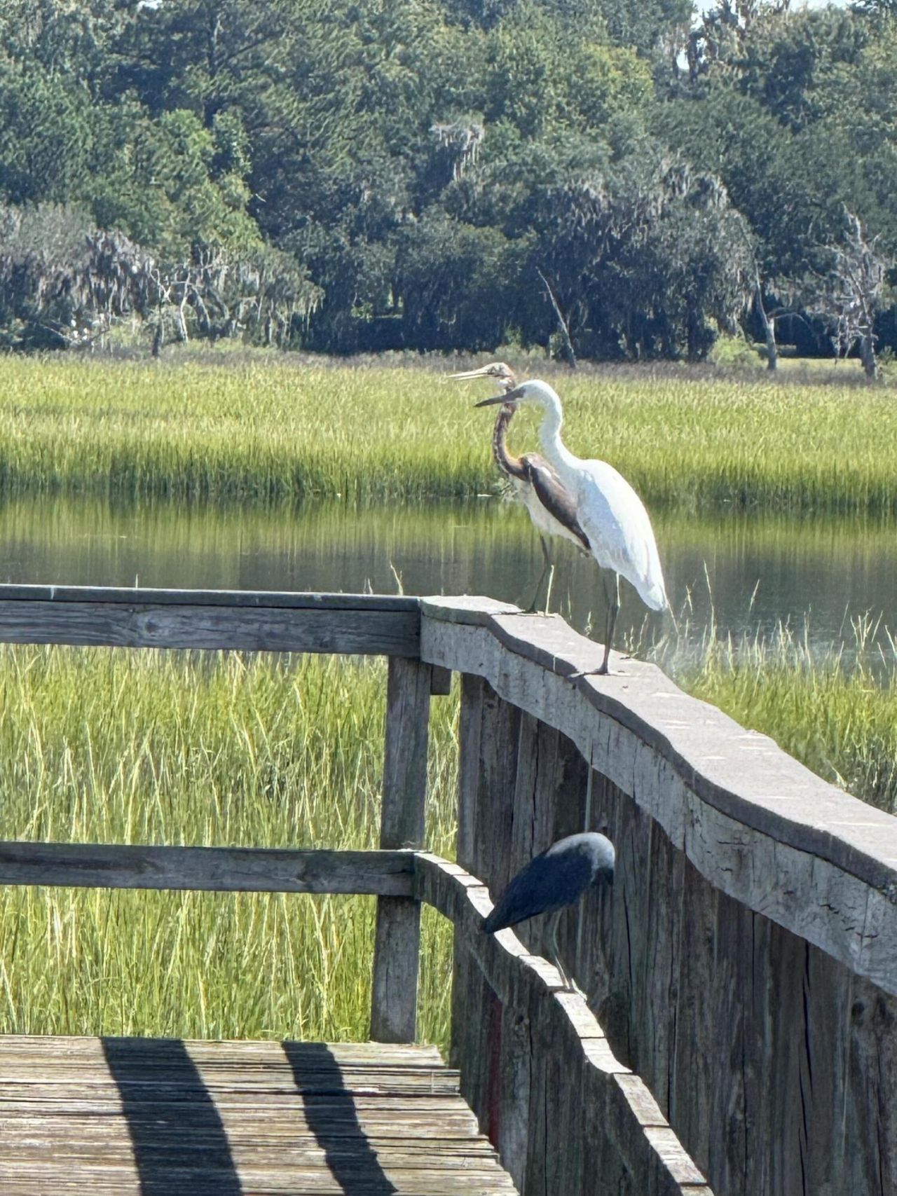 212 Bull Point Drive Photo 11