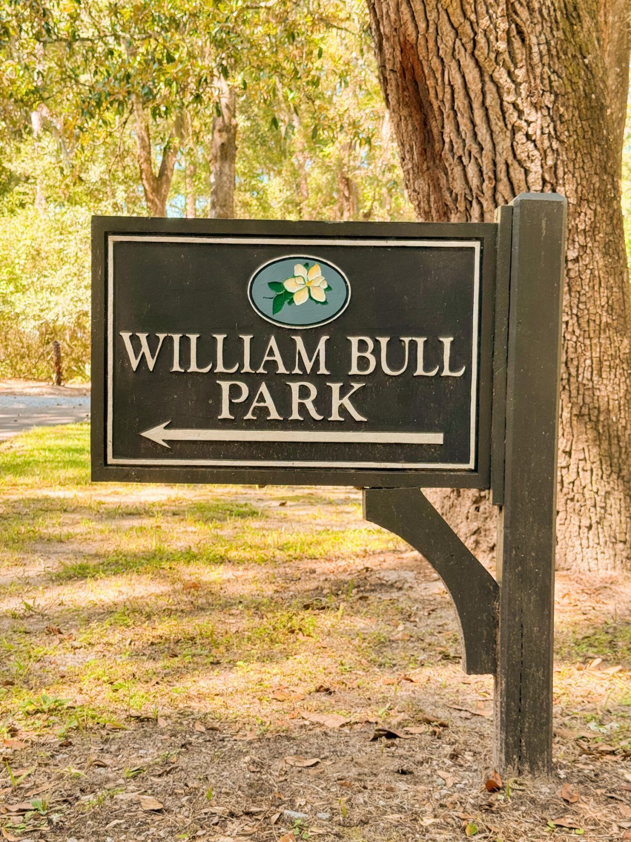 212 Bull Point Drive Photo 12