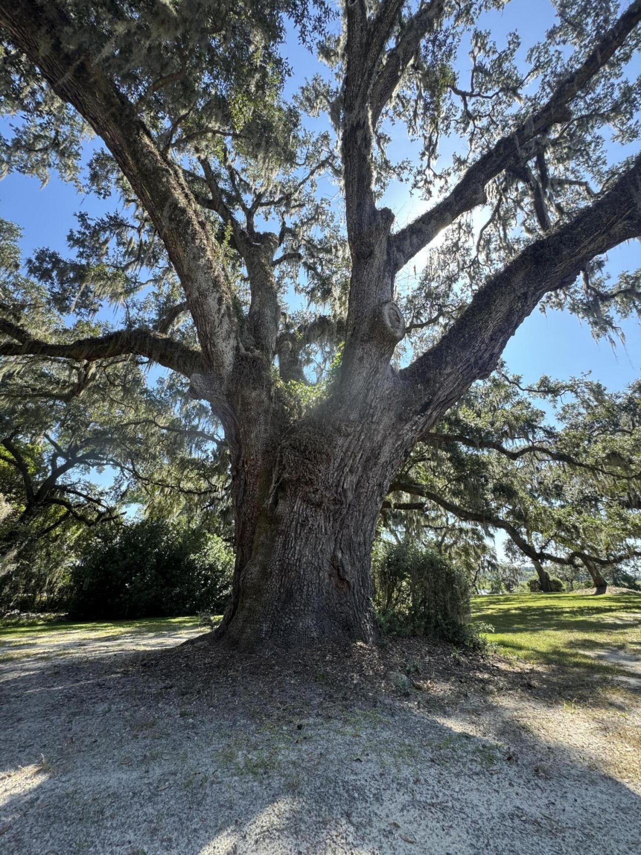 212 Bull Point Drive Photo 14