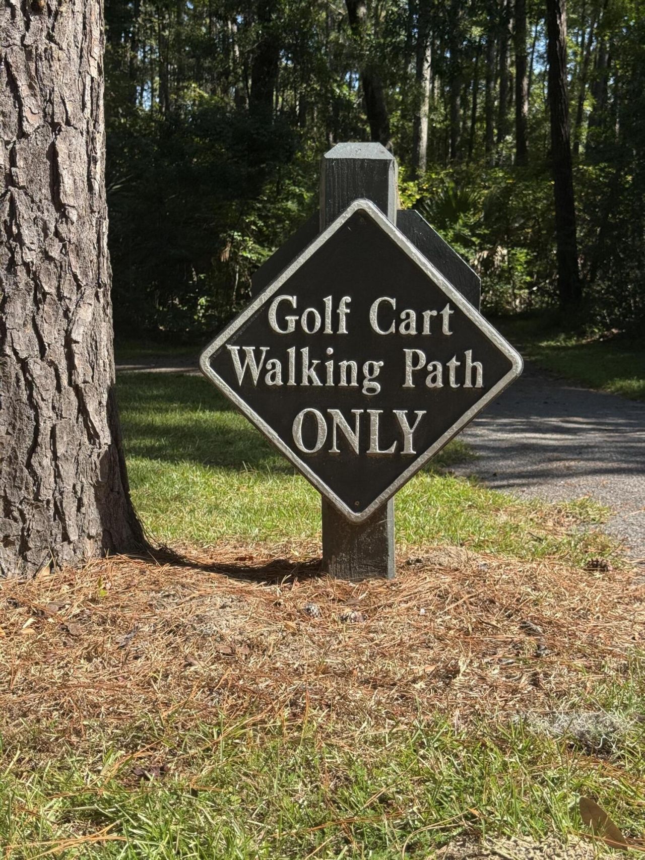 212 Bull Point Drive Photo 21