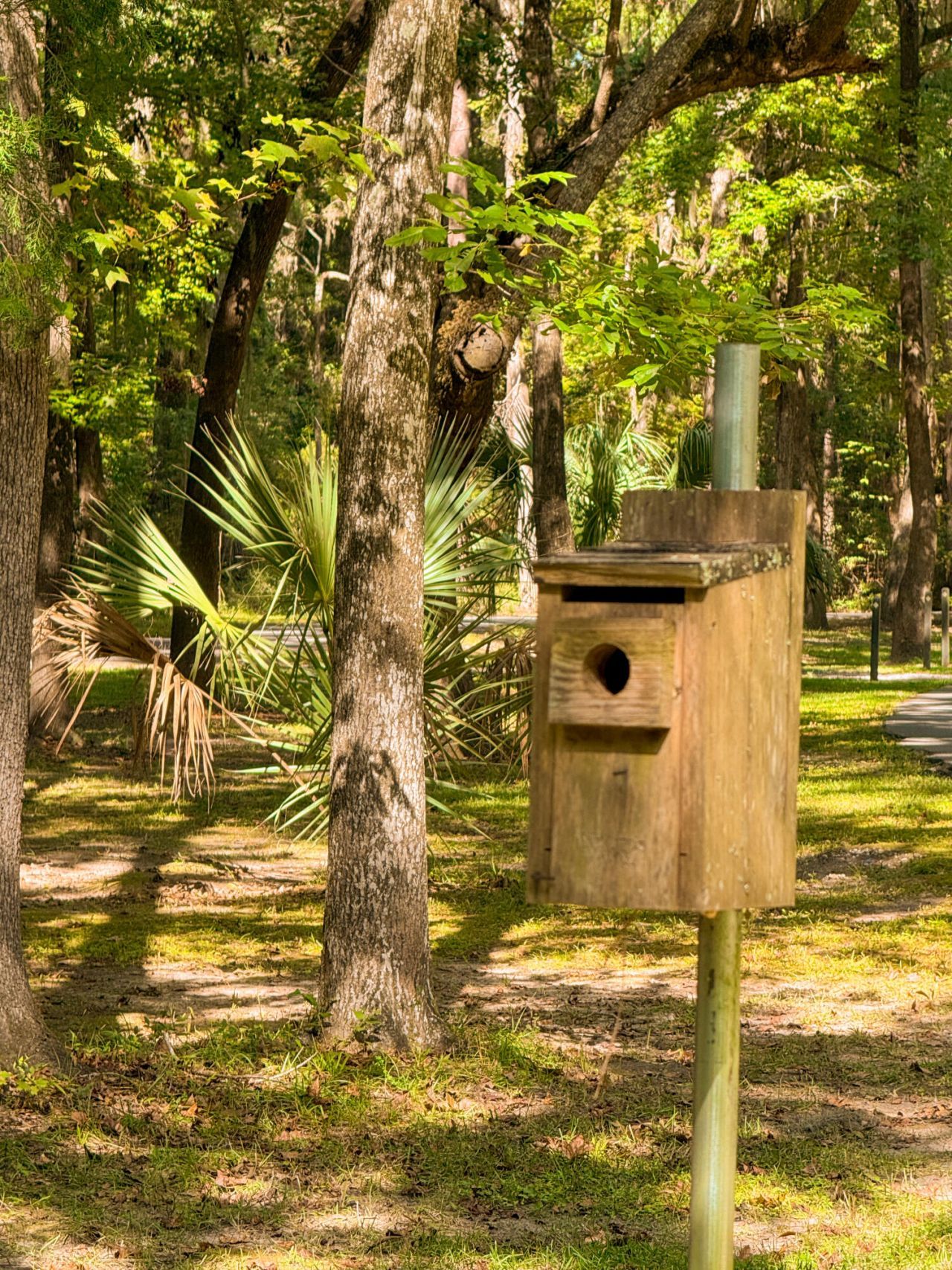 212 Bull Point Drive Photo 22