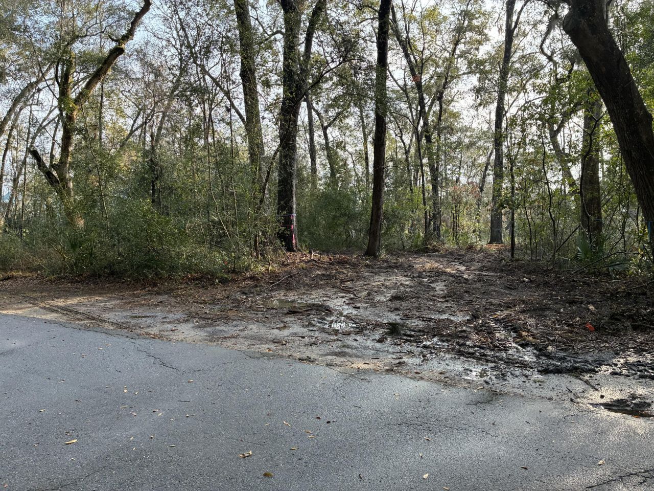 212 Bull Point Drive Photo 28