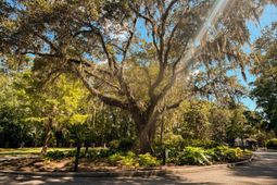 212 Bull Point Drive photo 4