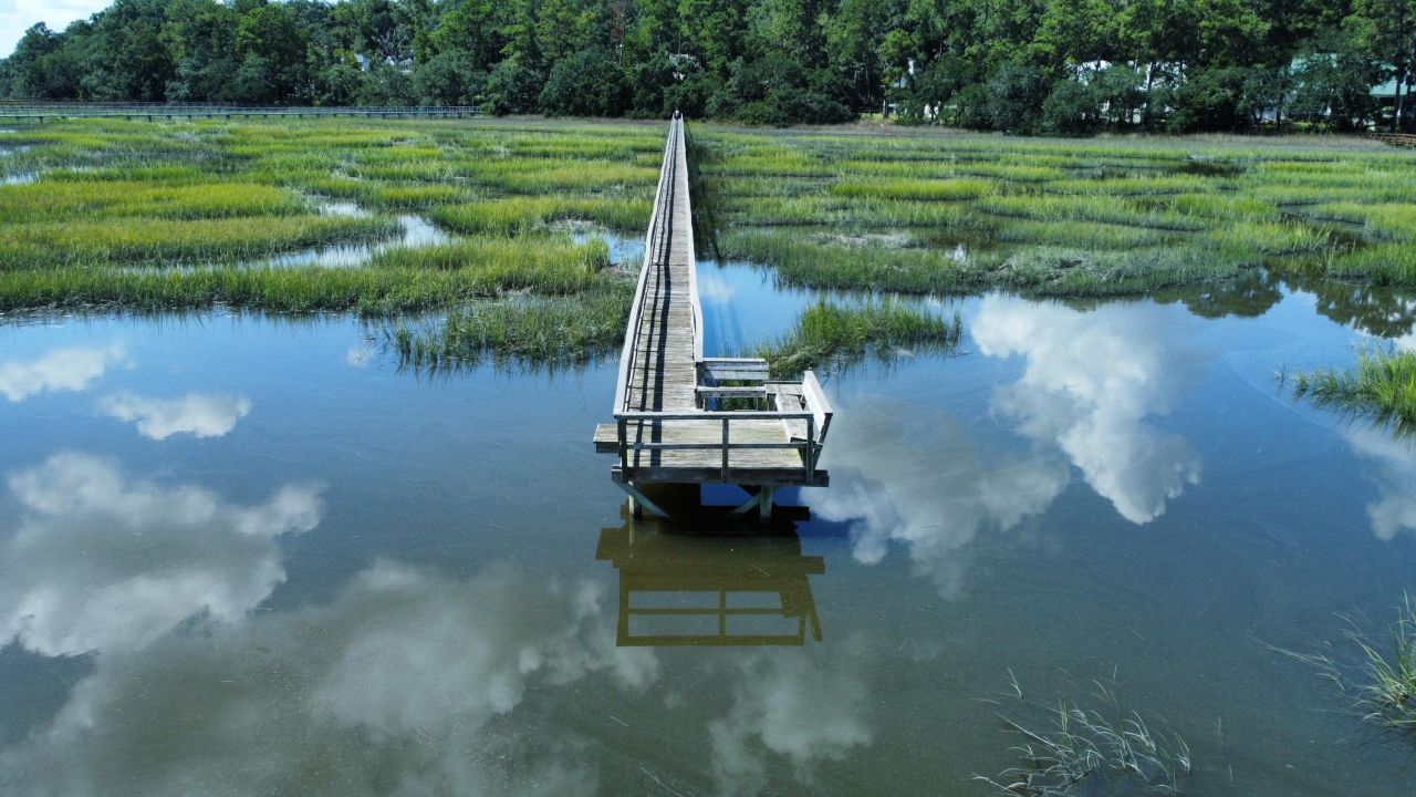 212 Bull Point Drive Photo 4