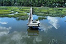 212 Bull Point Drive photo 4