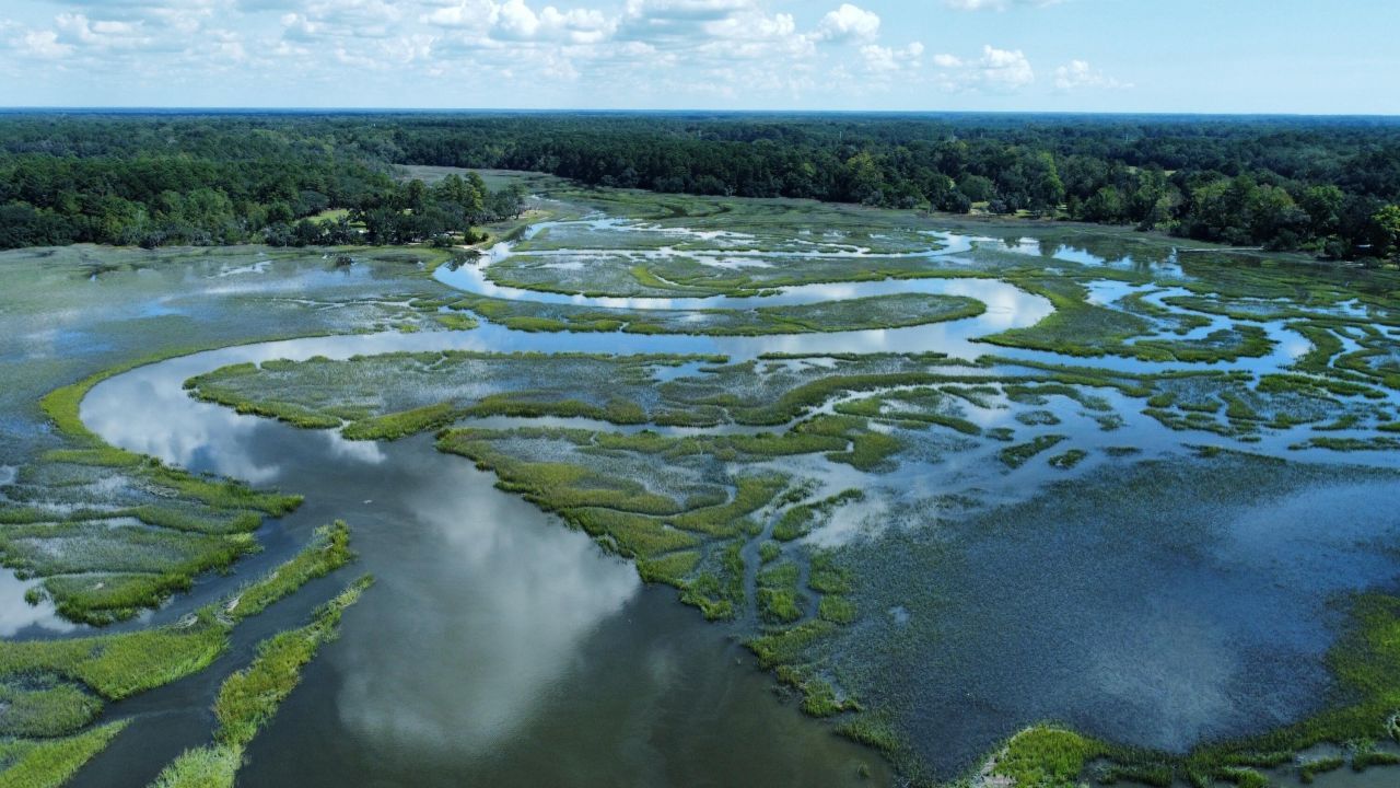 212 Bull Point Drive Photo 6