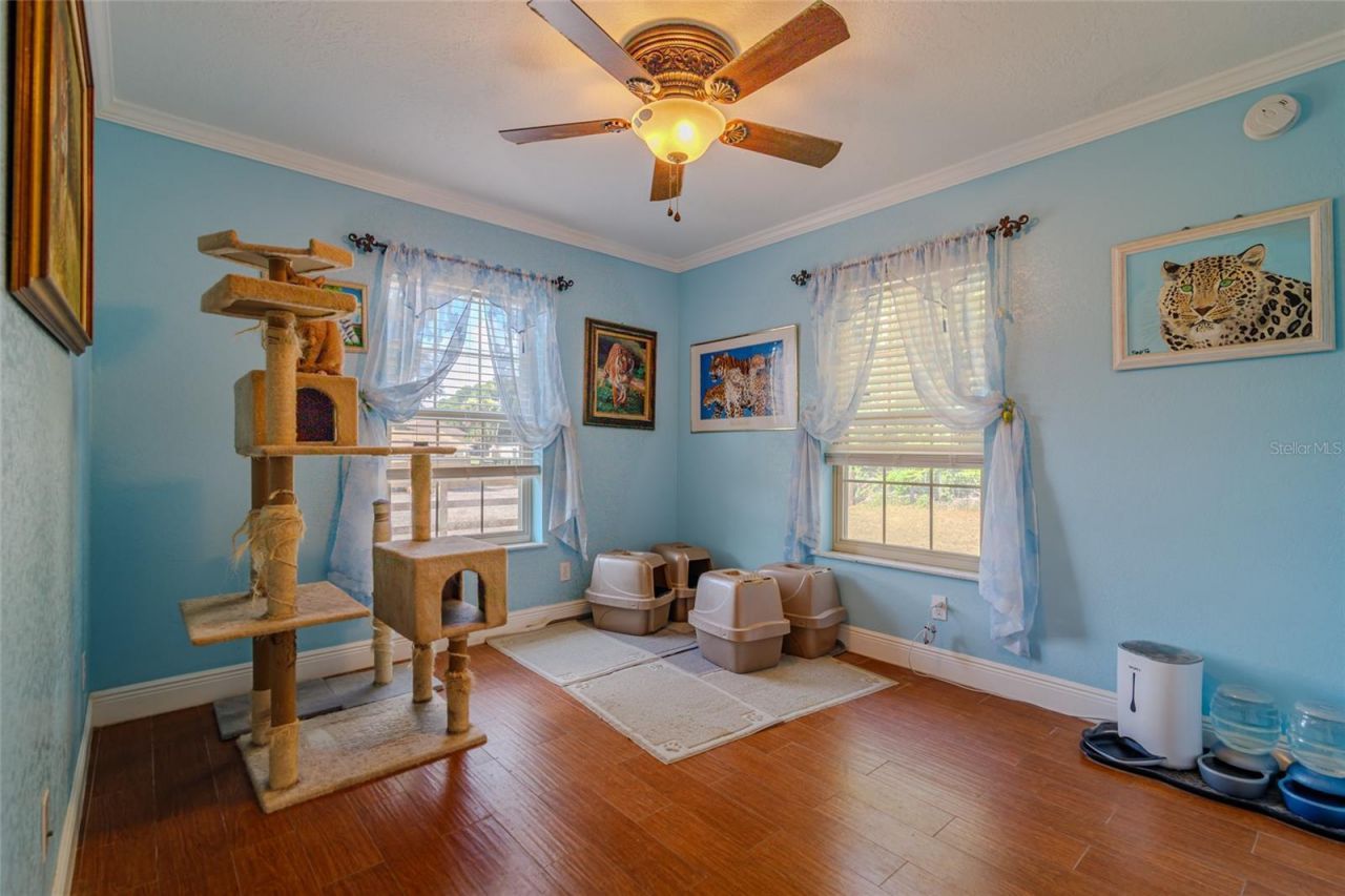 13300 NE 38th Avenue, Anthony, FL 32617 Photo