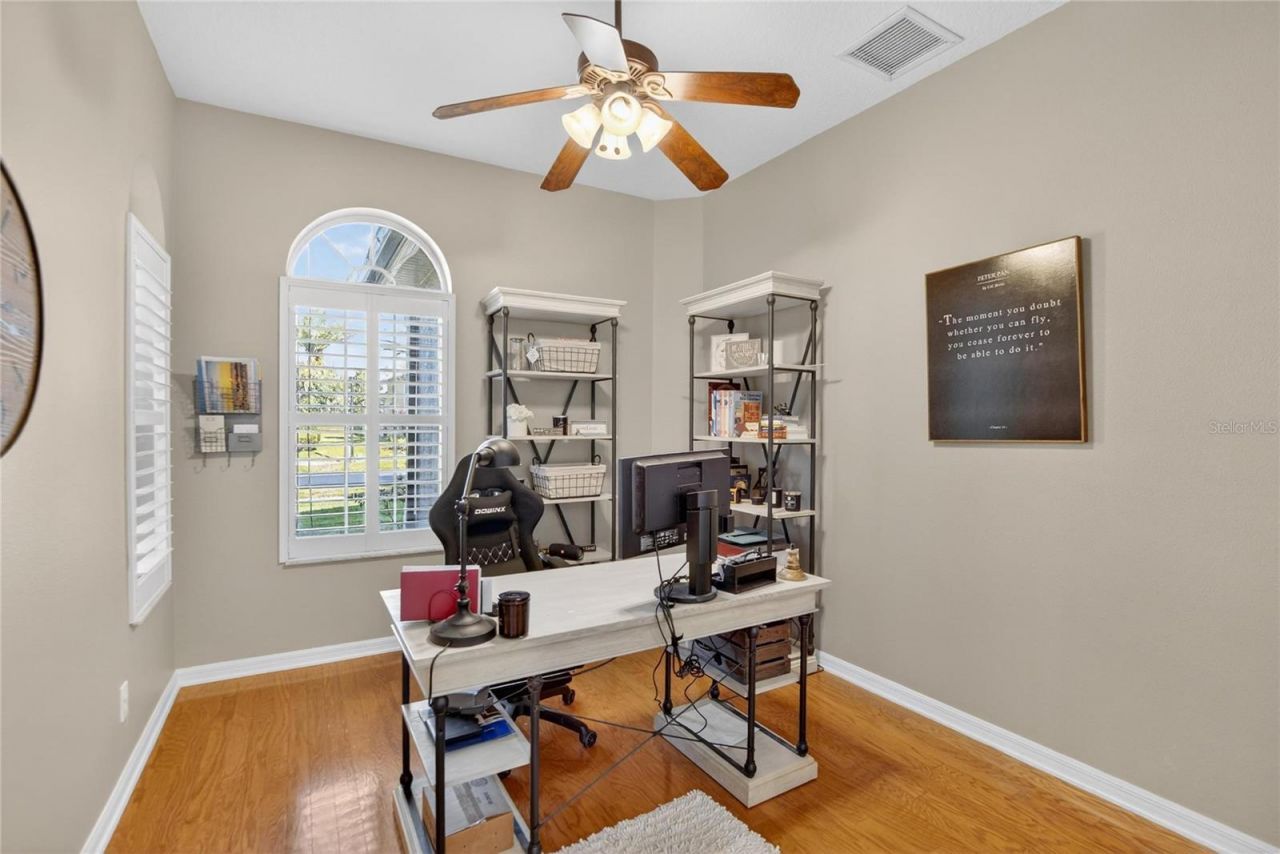 27736 Pine Point Drive, Wesley Chapel, FL 33544 Photo