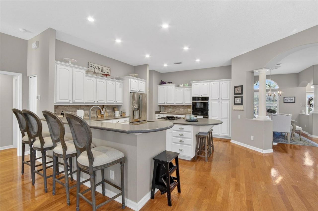 27736 Pine Point Drive, Wesley Chapel, FL 33544 Photo