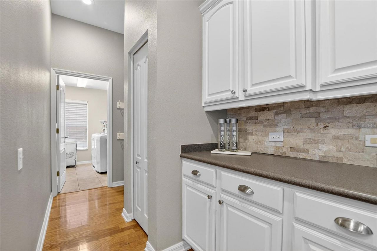 27736 Pine Point Drive, Wesley Chapel, FL 33544 Photo