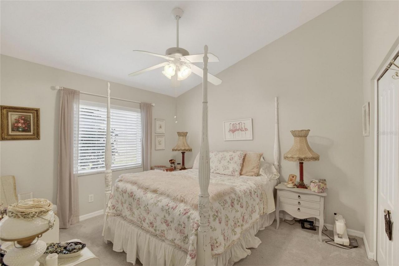 27736 Pine Point Drive, Wesley Chapel, FL 33544 Photo