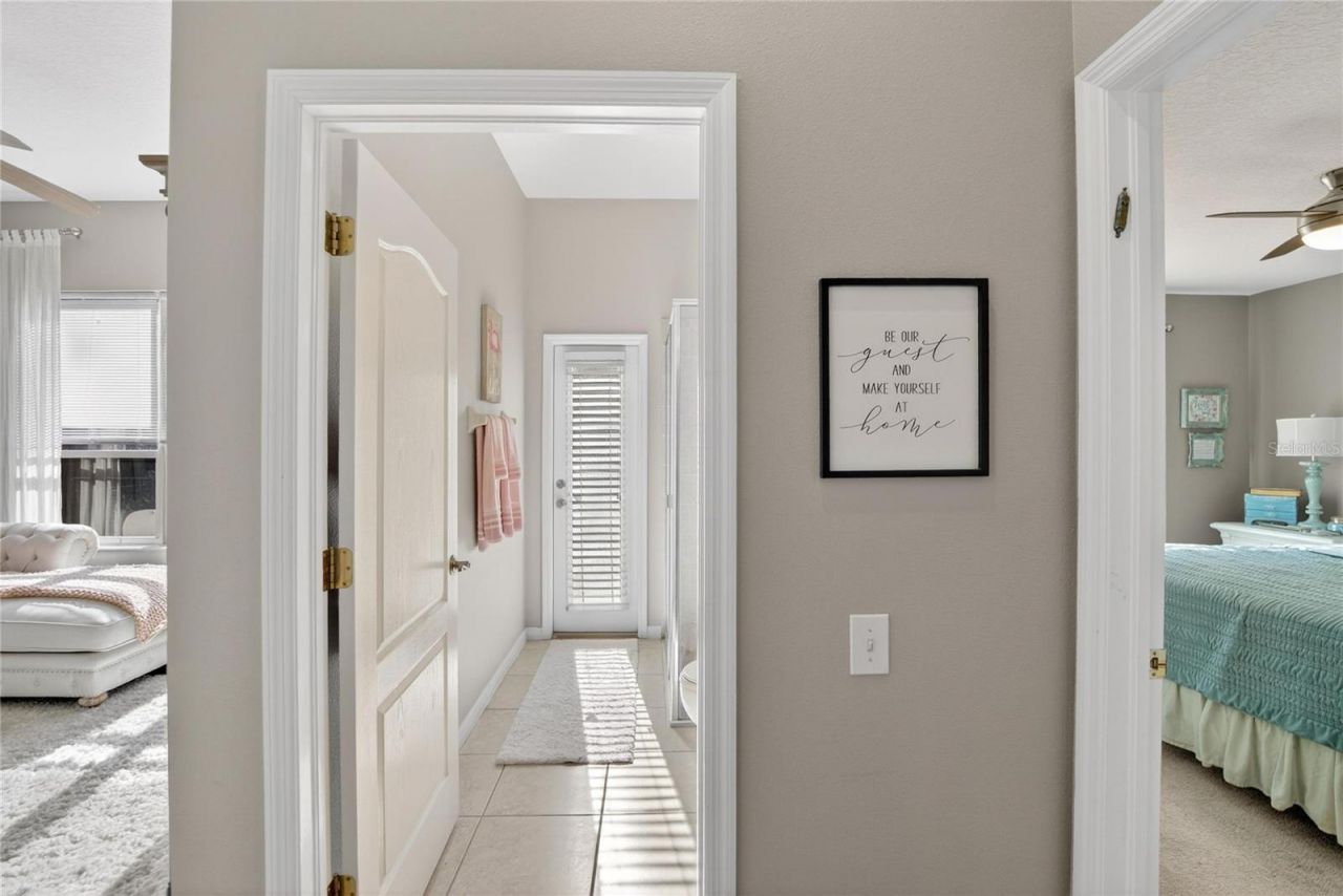 27736 Pine Point Drive, Wesley Chapel, FL 33544 Photo