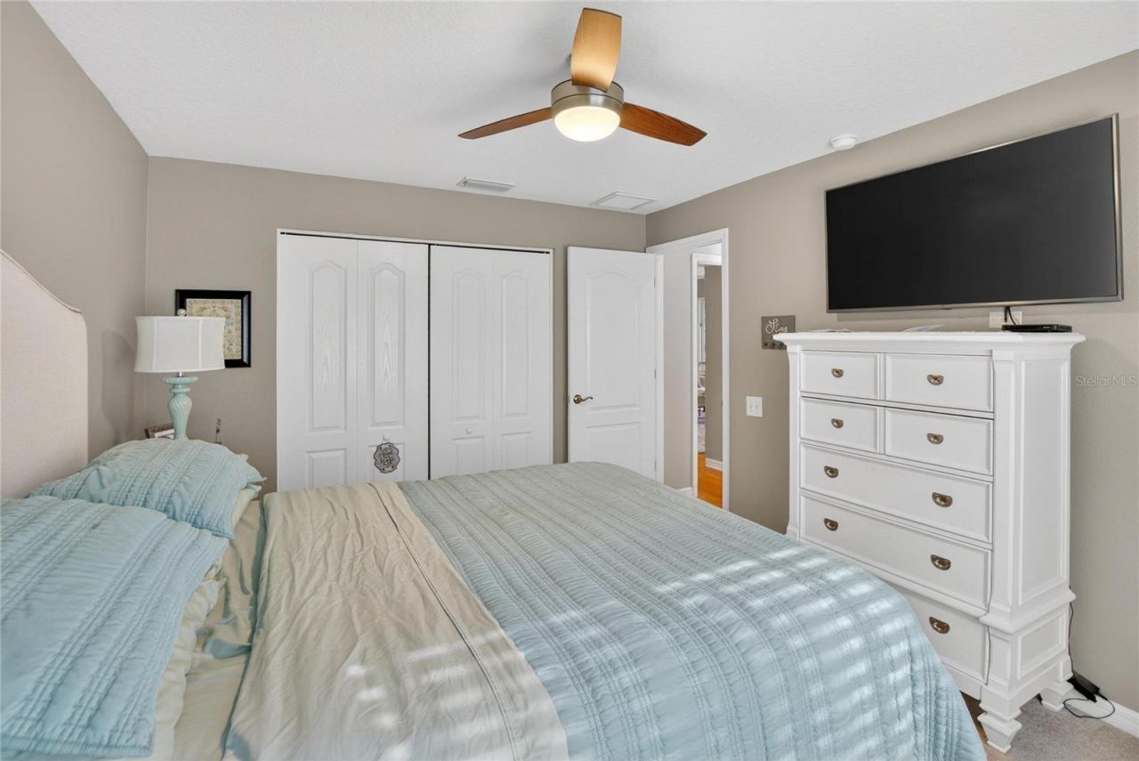 27736 Pine Point Drive, Wesley Chapel, FL 33544 Photo