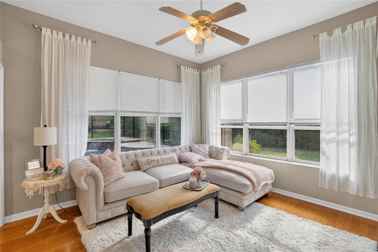 27736 Pine Point Drive, Wesley Chapel, FL 33544 Photo