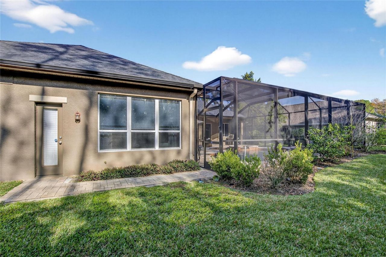 27736 Pine Point Drive, Wesley Chapel, FL 33544 Photo