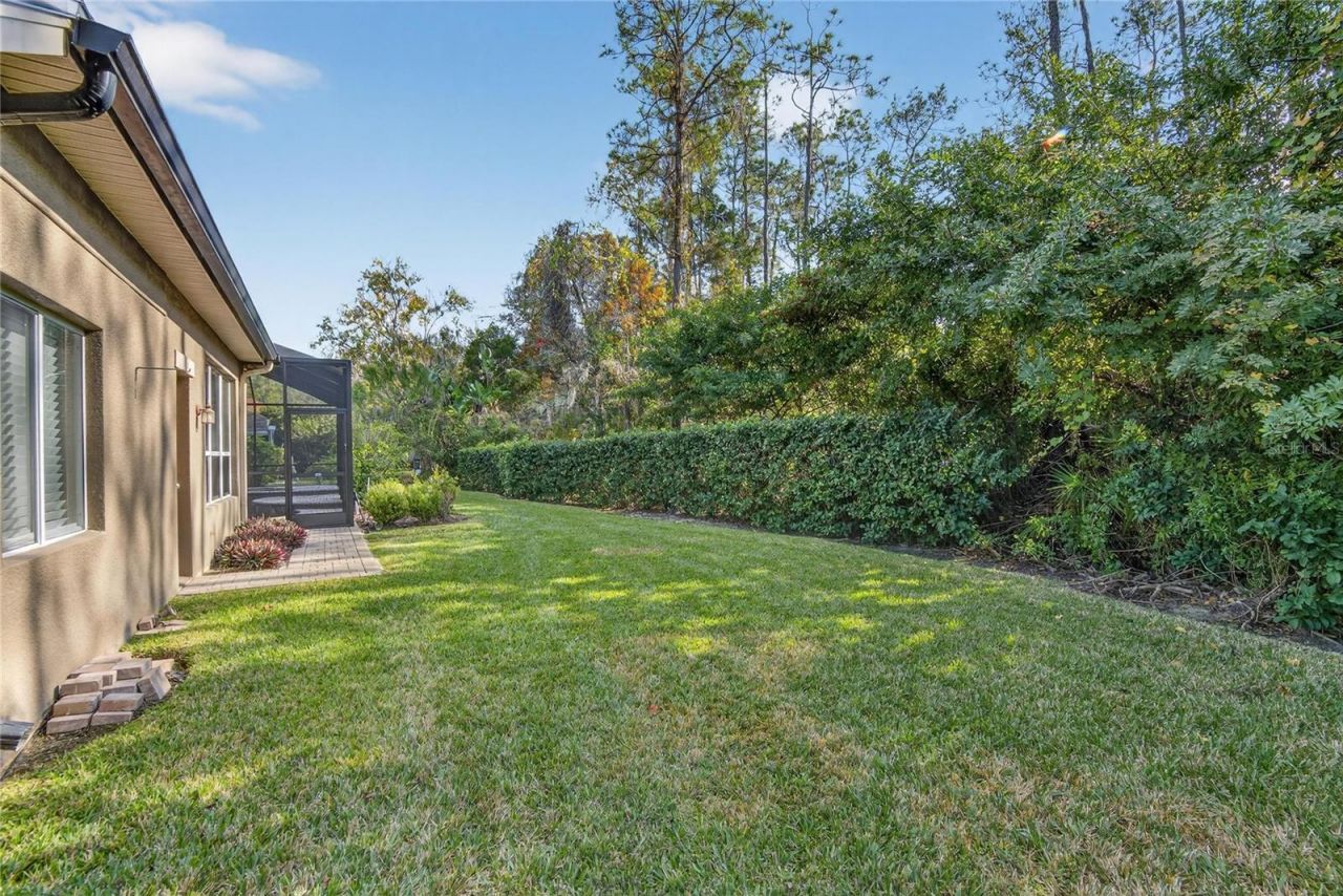 27736 Pine Point Drive, Wesley Chapel, FL 33544 Photo