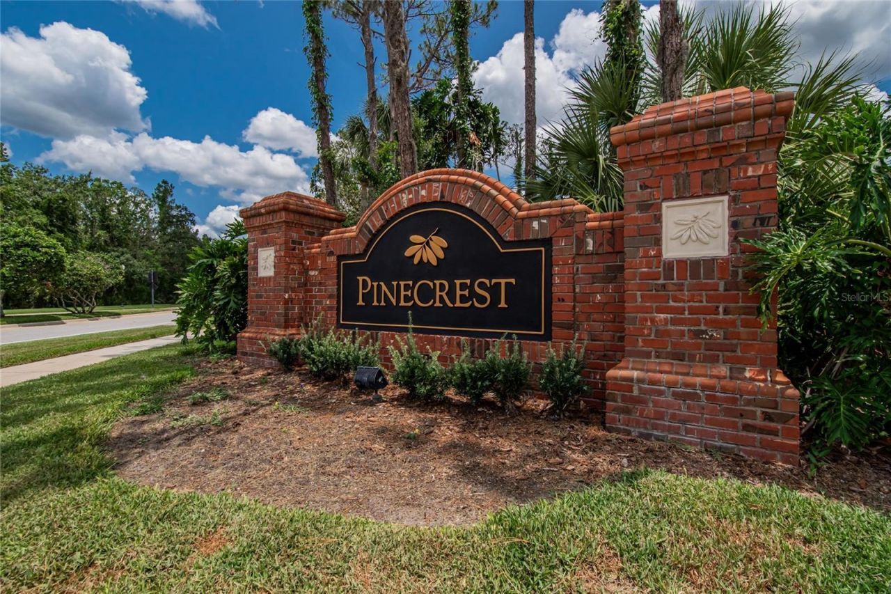 27736 Pine Point Drive, Wesley Chapel, FL 33544 Photo