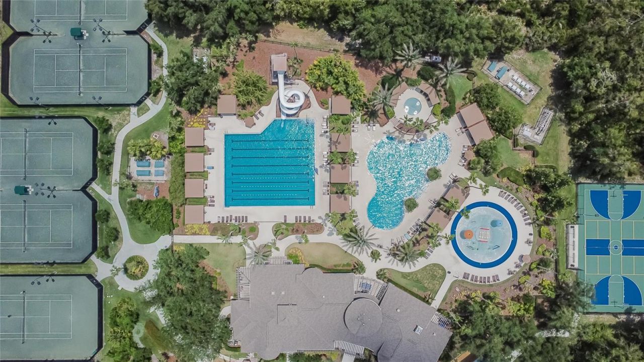 27736 Pine Point Drive, Wesley Chapel, FL 33544 Photo