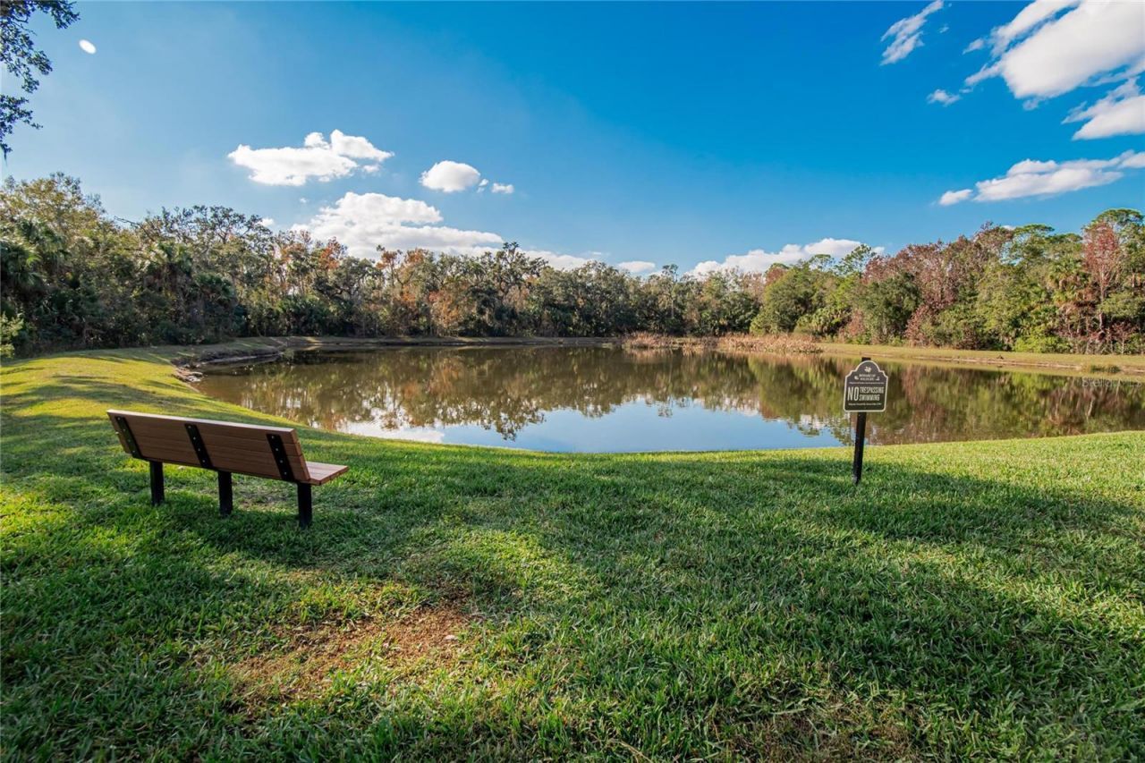 27736 Pine Point Drive, Wesley Chapel, FL 33544 Photo