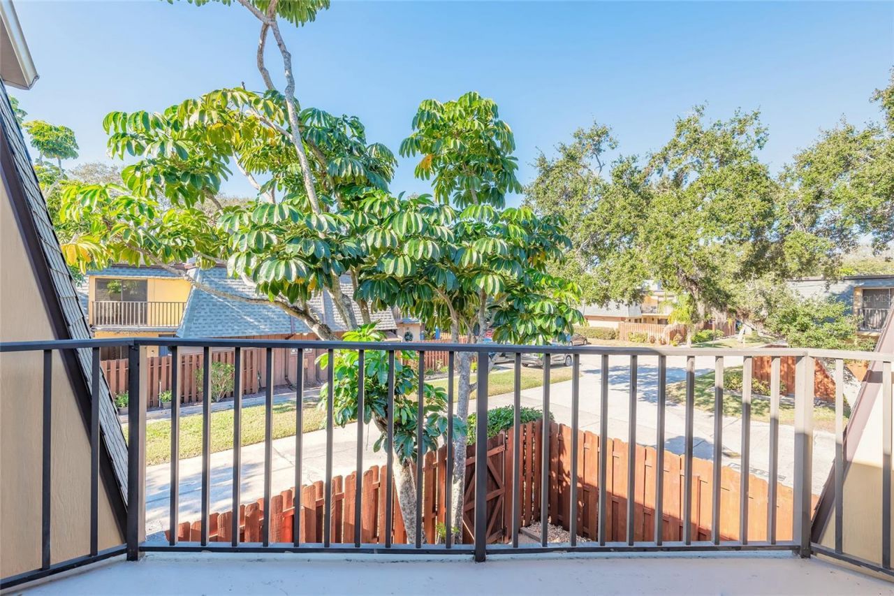 3824 Saxon Drive, New Smyrna Beach, FL 32169 Photo