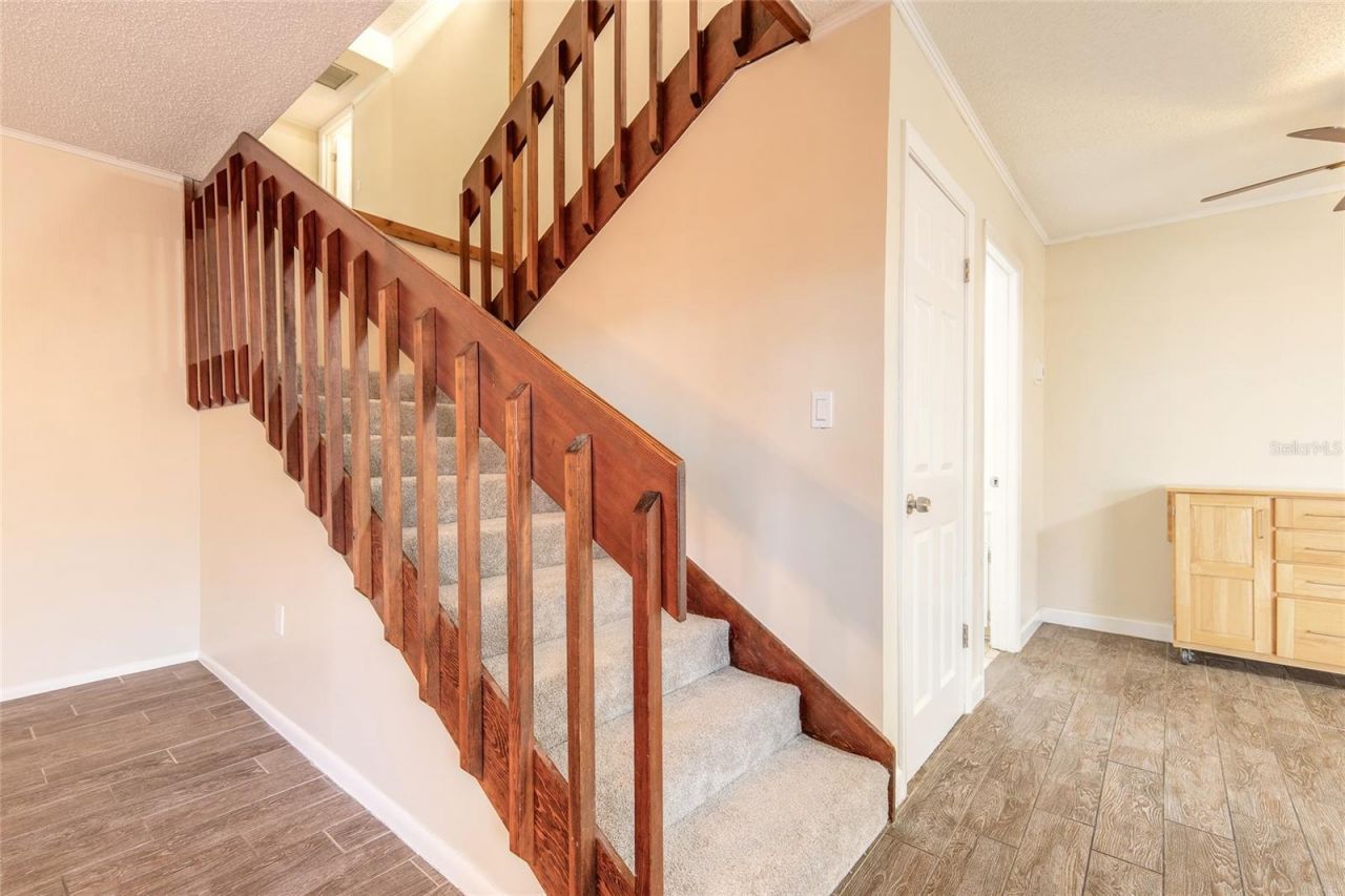 3824 Saxon Drive, New Smyrna Beach, FL 32169 Photo