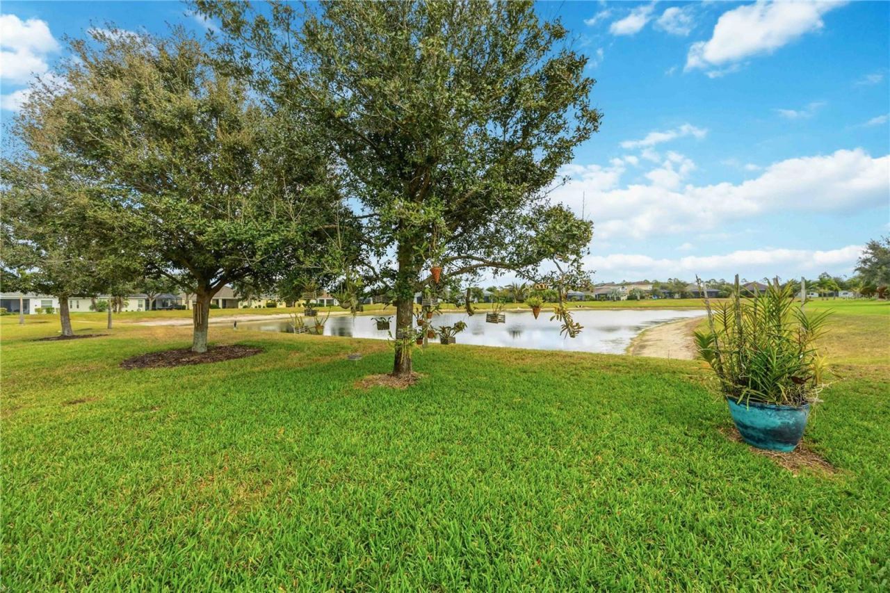 16870 Rosedown Glen, Parrish, FL 34219 Photo